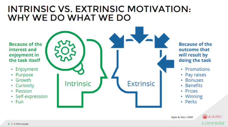 intrinsic motivation in the workplace essay