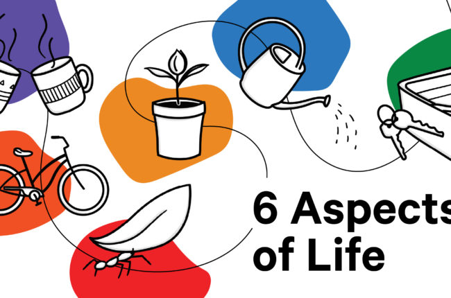 Aduro’s 6 Aspects of Life Series