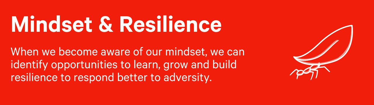 Mindset and Resilience